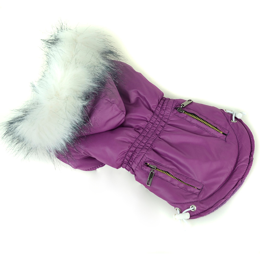Зимняя одежда для собак, тепло – обзор и цена Winter Clothing In French